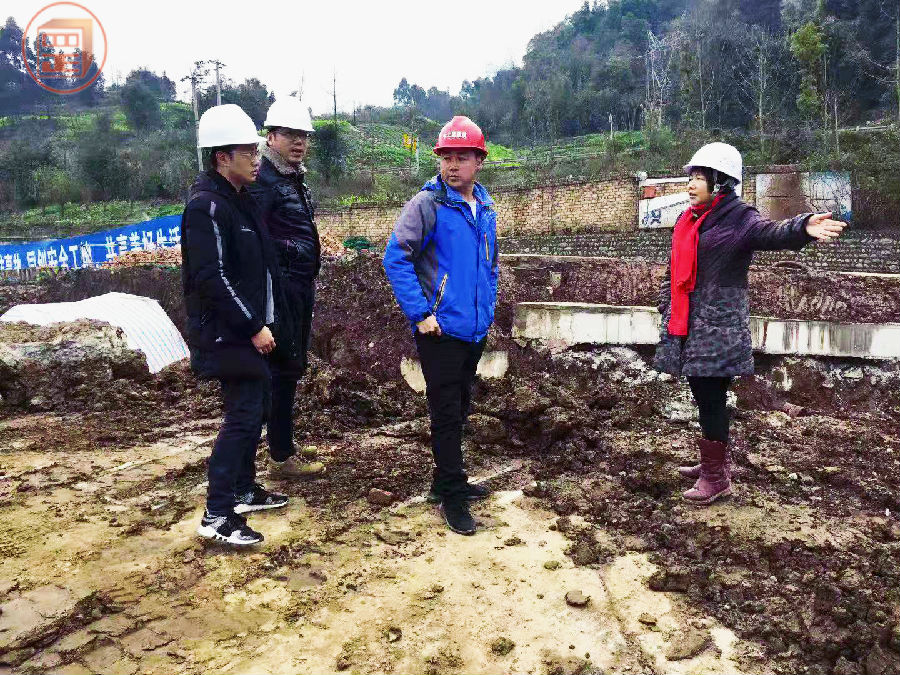 雅安市雨城区多营镇特色小镇城中村棚户改造建设项目
